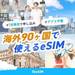 SkySiM（スカイシム）