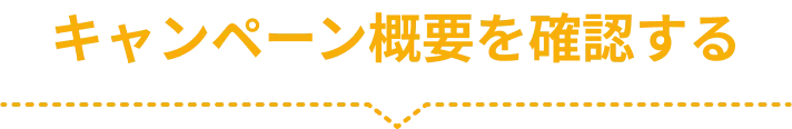 キャンペーン概要を確認する