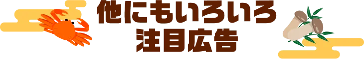 他にもいろいろ注目の広告