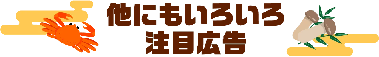 他にもいろいろ注目の広告