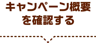 キャンペーン概要を確認する