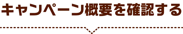 キャンペーン概要を確認する