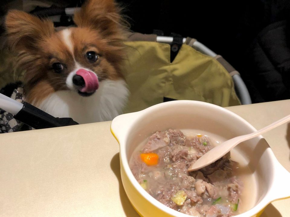 犬宿泊ホテル　フォレストヒルズ那須の夕食