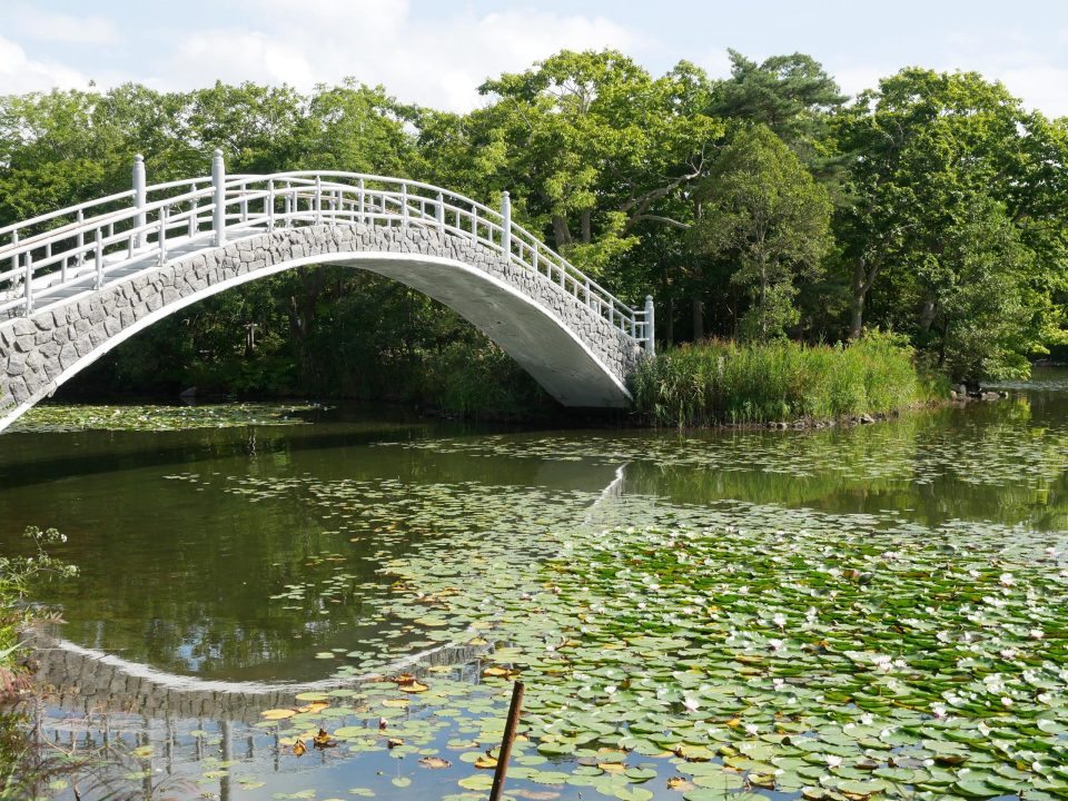 大沼公園の島々を結ぶ橋