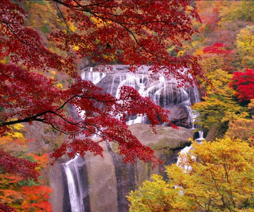 茨 城 の紅葉名所22年の見ごろはいつ 袋田の滝など徹 底 リ サー チ たびハピ