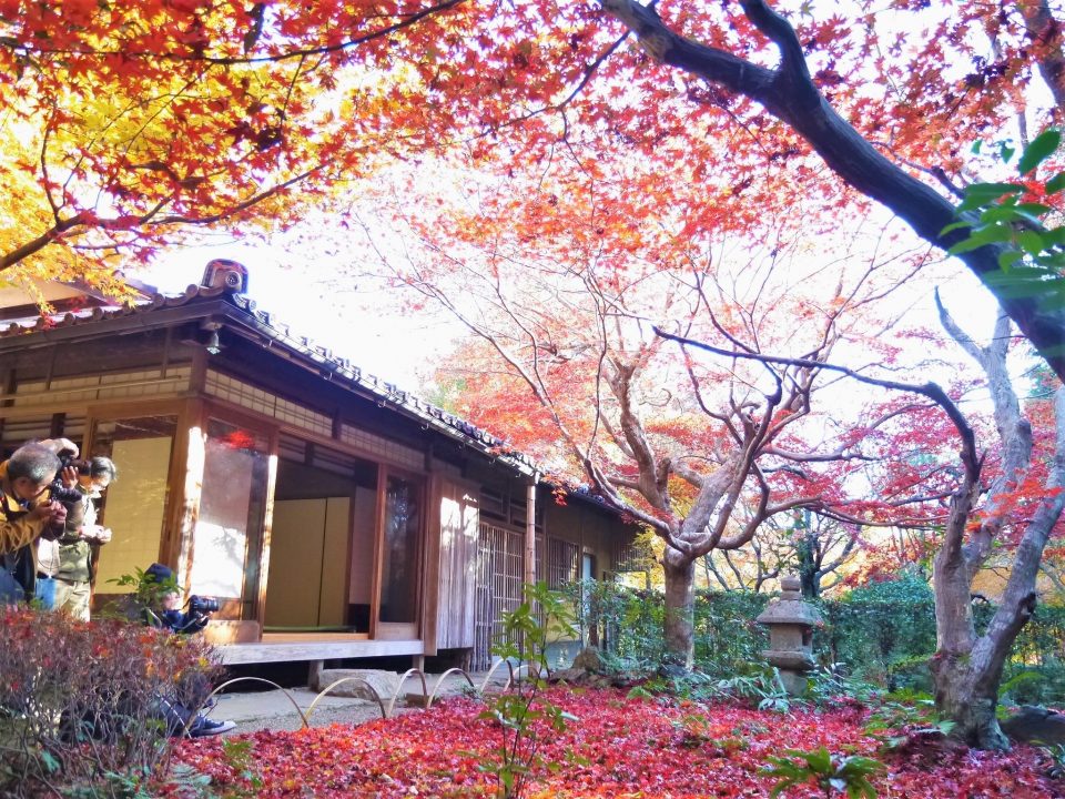 京都・嵐山の紅葉スポット2023年の見ごろ・混雑回避方法