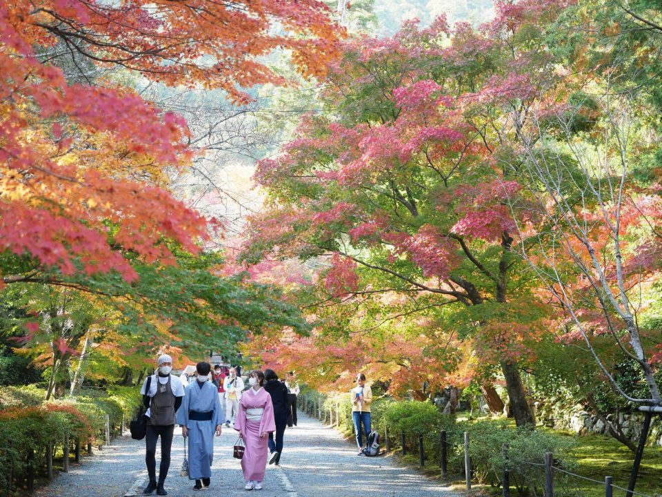 京都・嵐山の紅葉スポット2023年の見ごろ・混雑回避方法