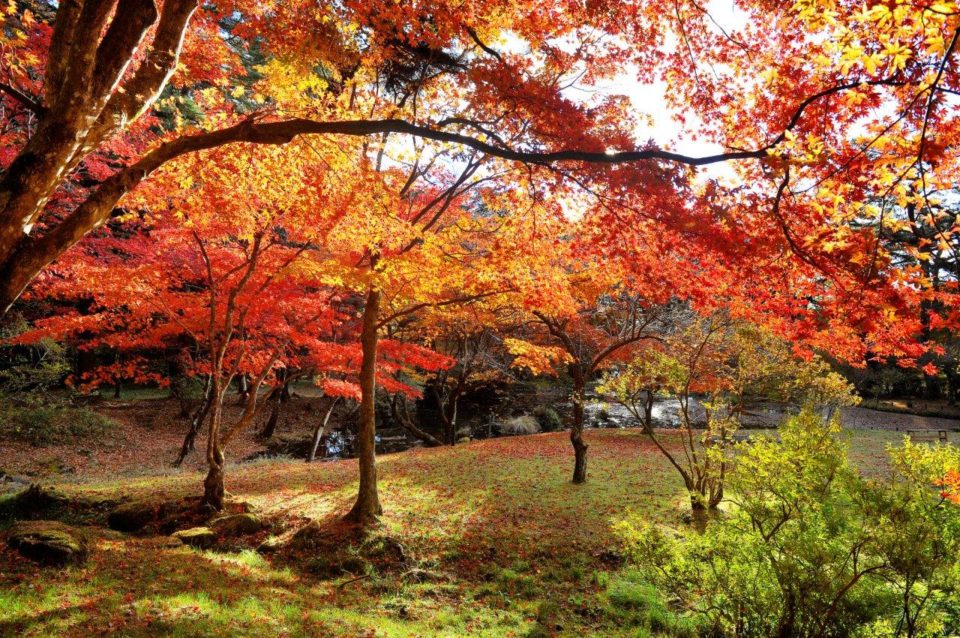 日光松屋敷の庭園の紅葉