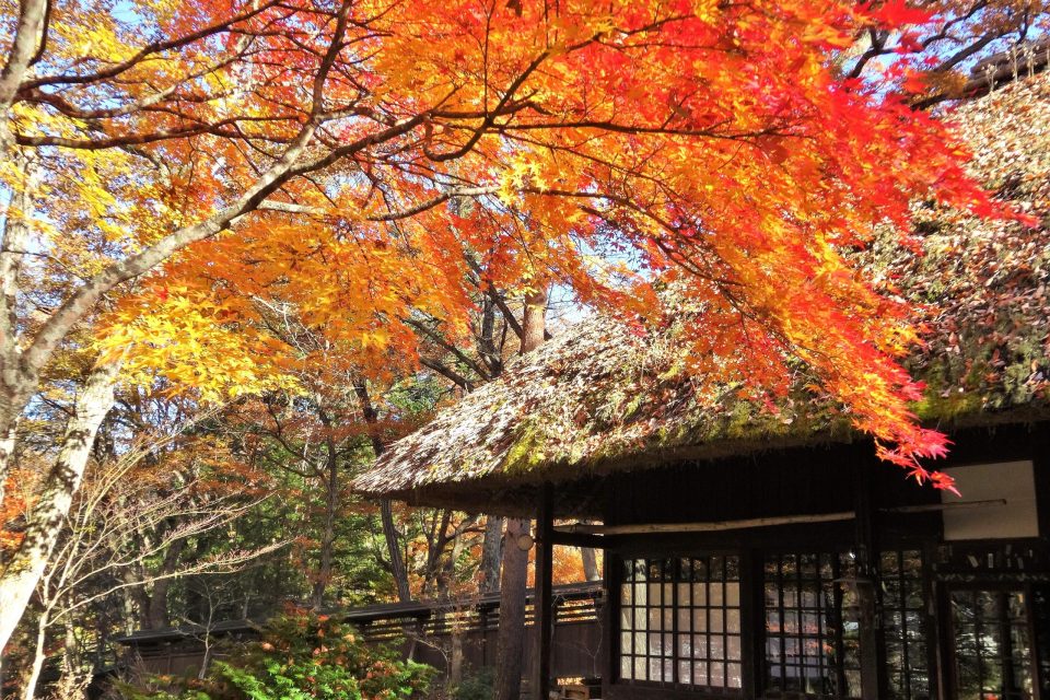 湯西川温泉　平家の里の紅葉