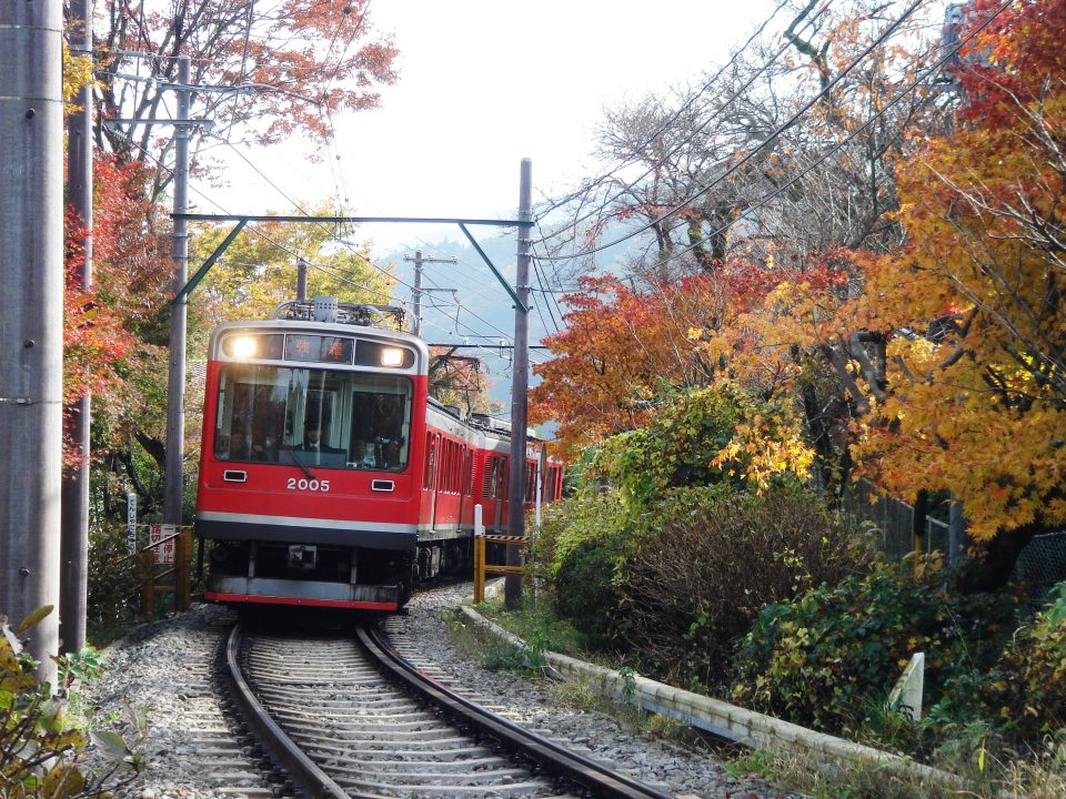 紅葉の中を走る箱根登山鉄道