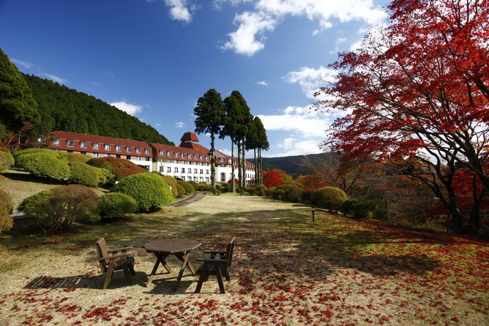 小田急 山のホテルの庭園の紅葉