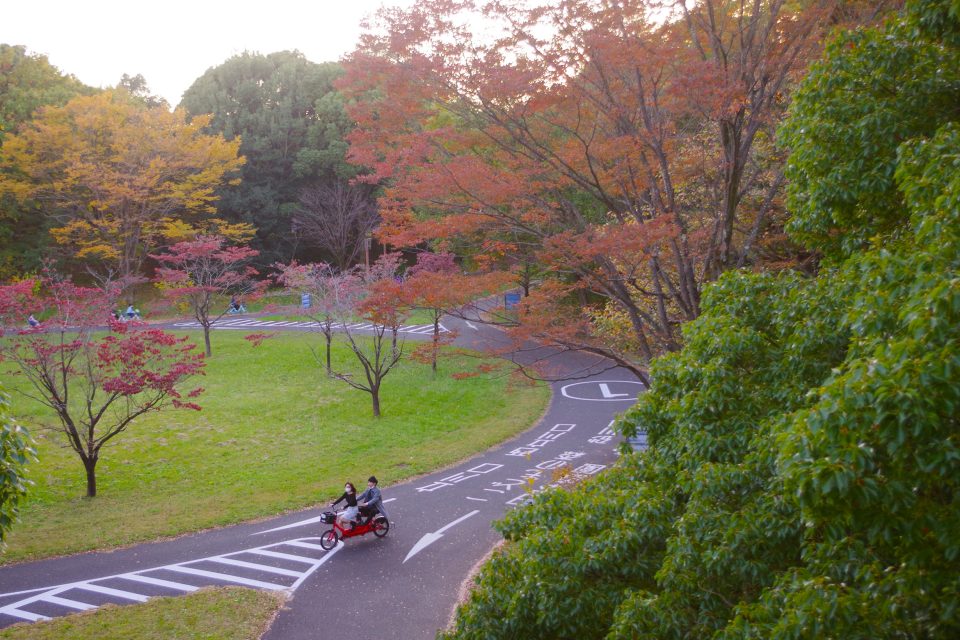 東京の紅葉見ごろ 国営昭和記念公園