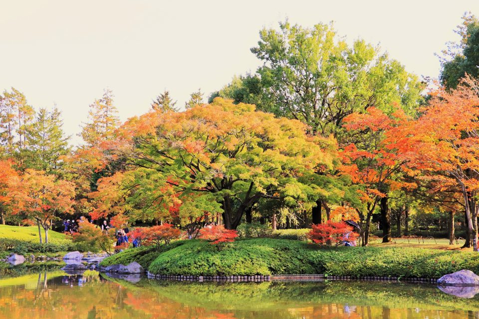 東京の紅葉見ごろ 国営昭和記念公園