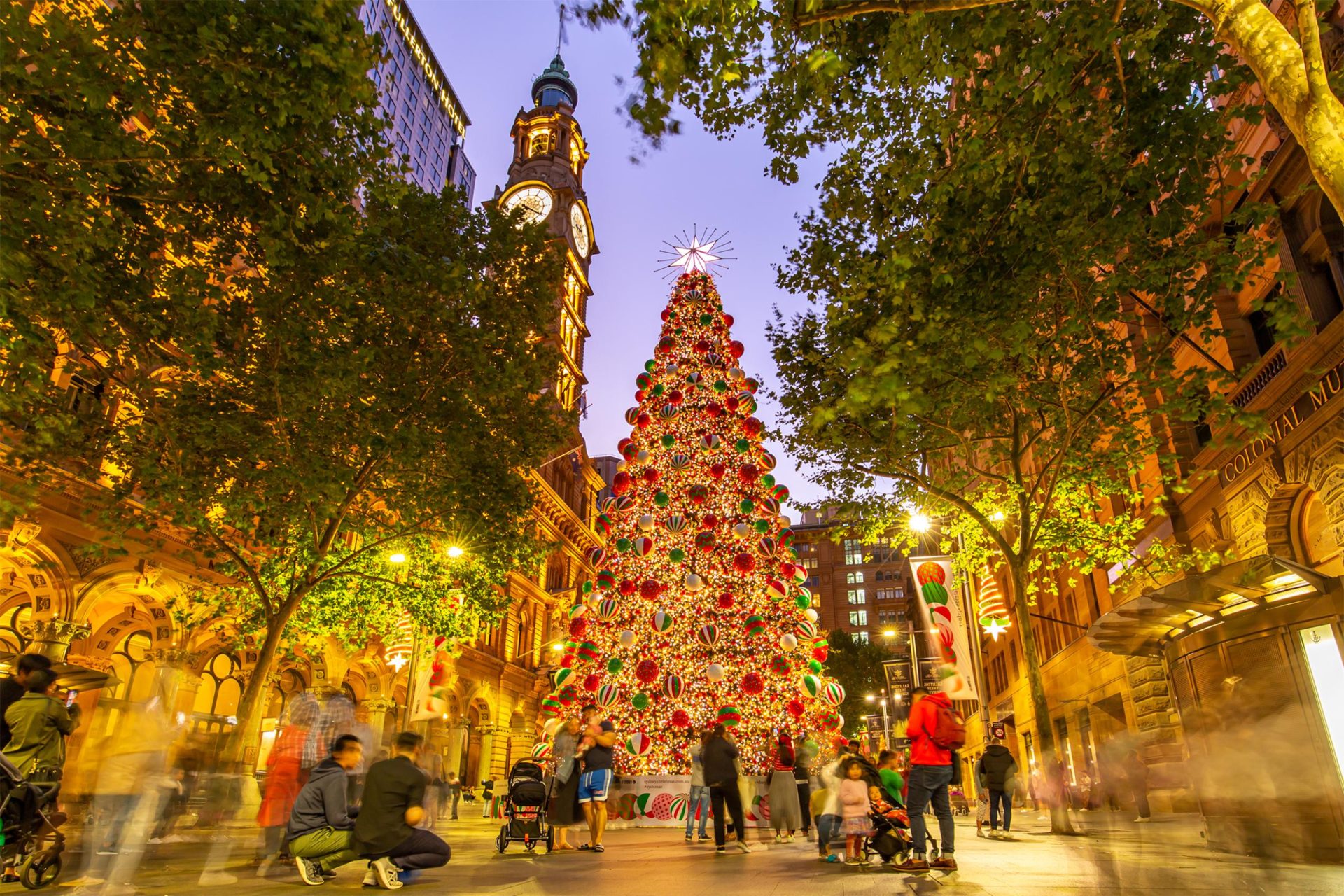 真夏のクリスマス・オーストラリア・シドニーの様子 たびハピ