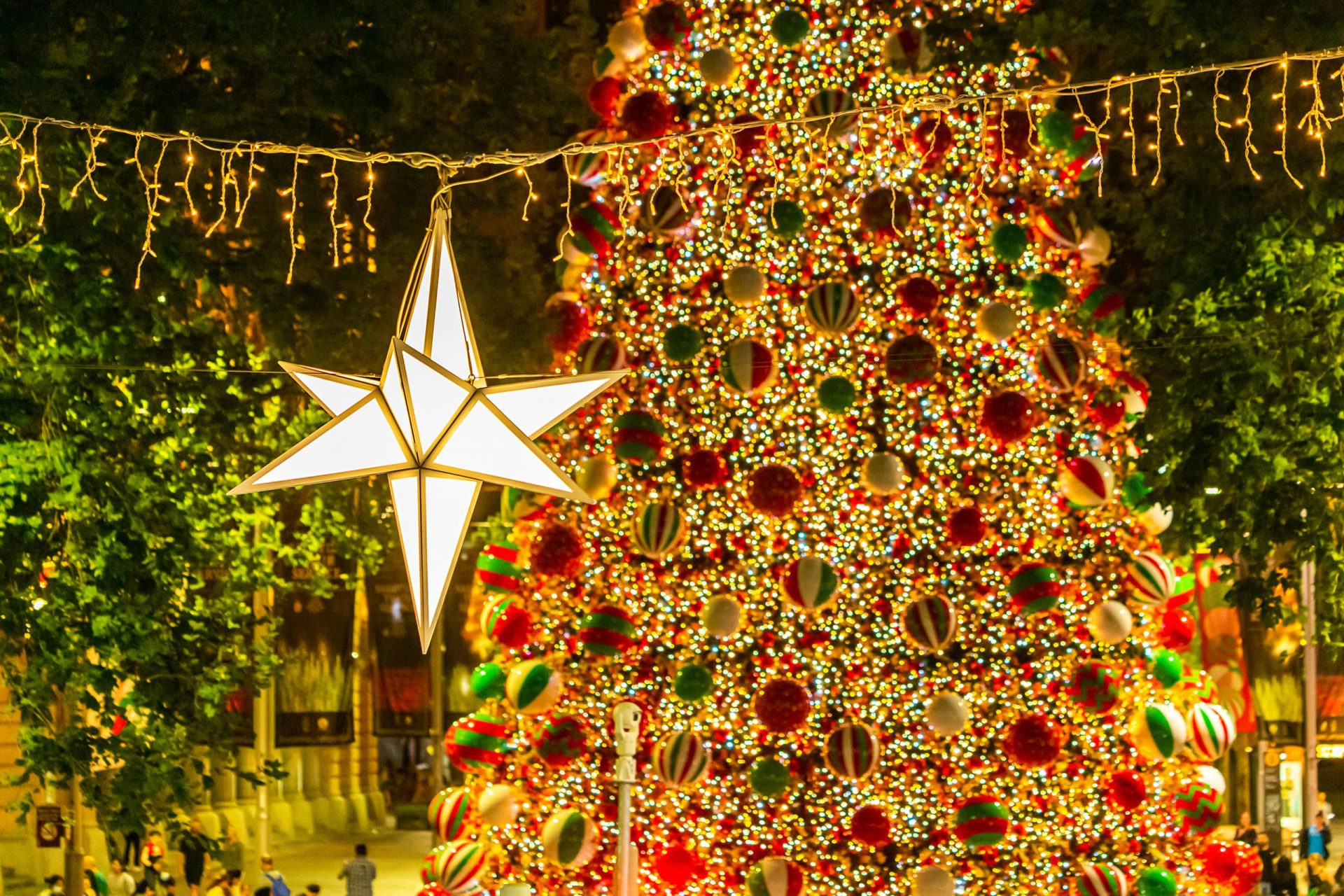 真夏のクリスマス・オーストラリア・シドニーの様子 たびハピ