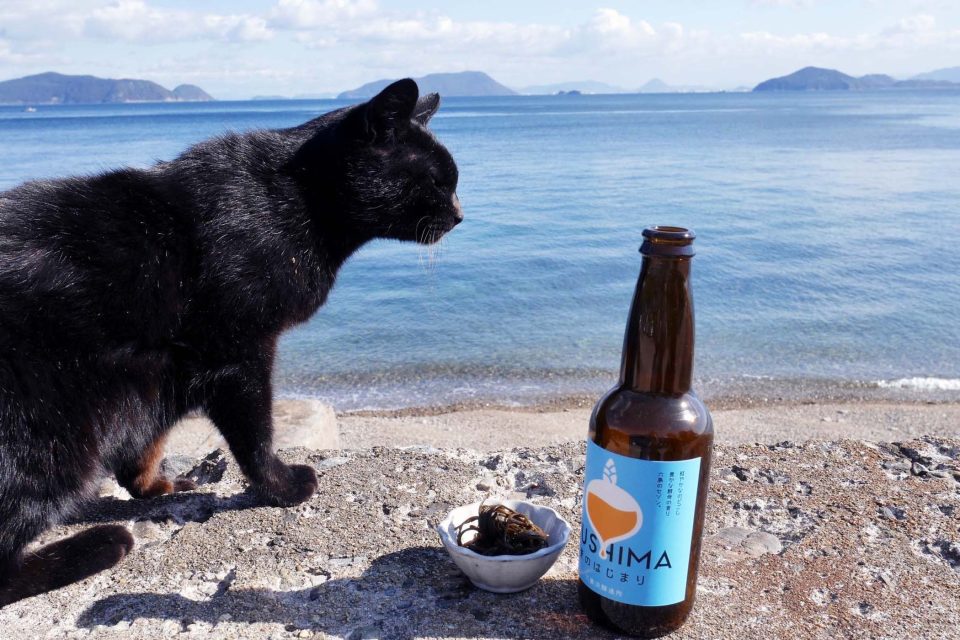 六島　猫とビール