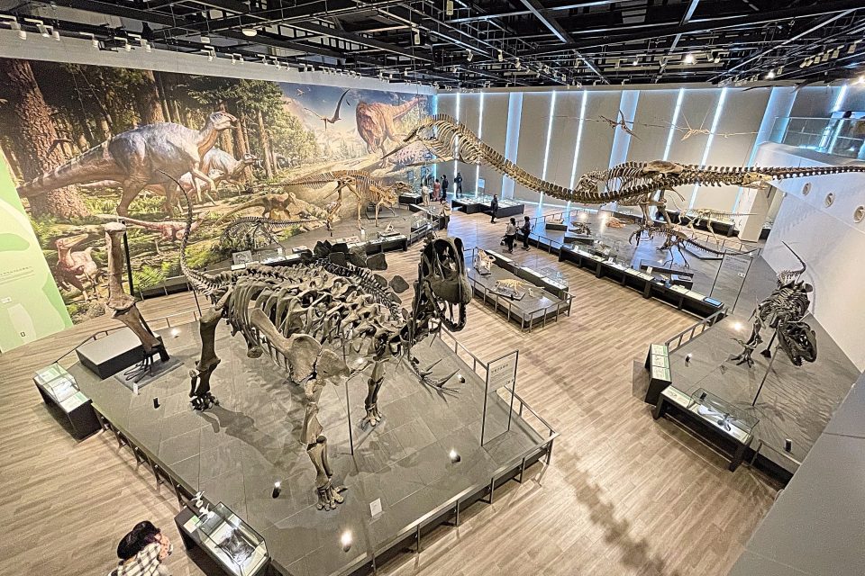 長崎市恐竜博物館　常設展示室1階