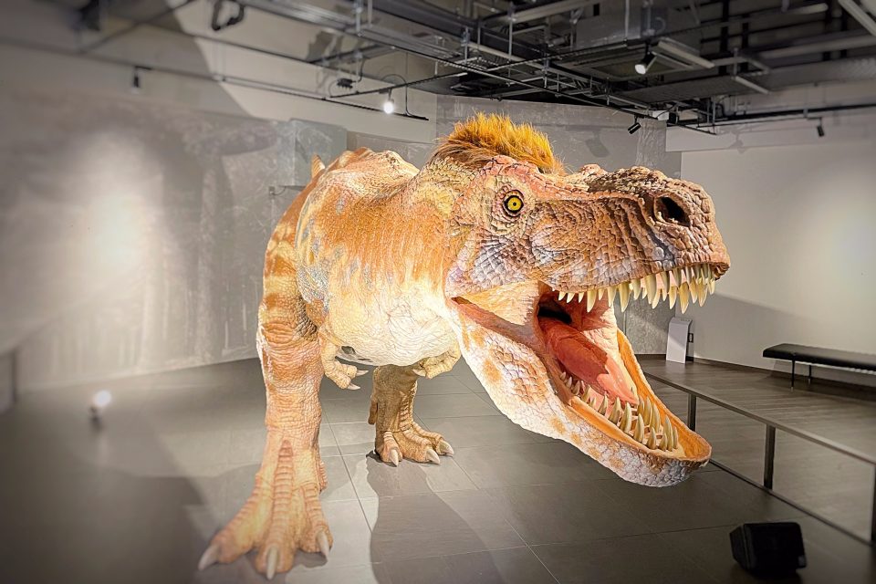 長崎市恐竜博物館　常設展示室2階