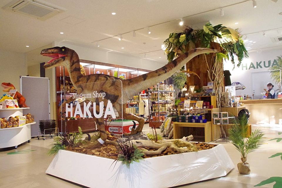 長崎市恐竜博物館　ミュージアムショップHAKUA