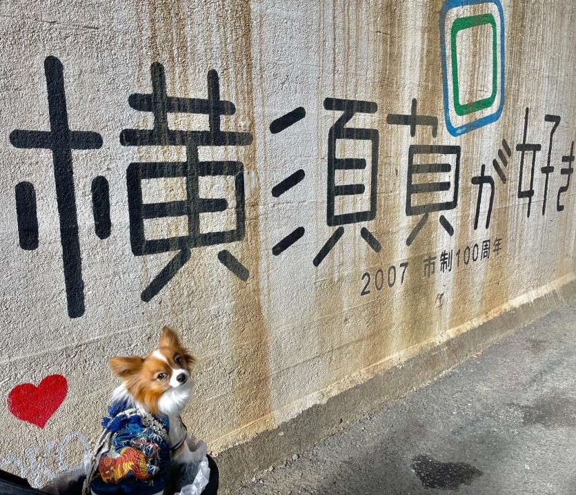 横須賀観光モデルコース・スカジャンと海軍カレー発祥の地を愛犬と歩く