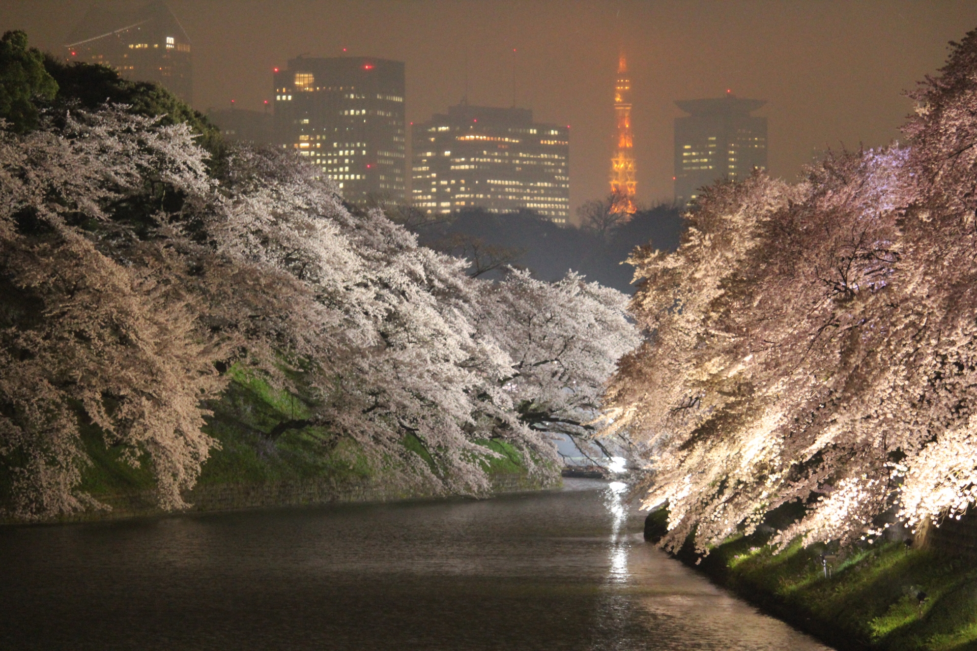 東京お花見22年最新情報 桜名所の桜祭り中止や制限一覧 3月30日更新 たびハピ 東京お花見22年最新情報 桜名所の桜祭り中止や制限一覧 3月30日更新 たびハピ