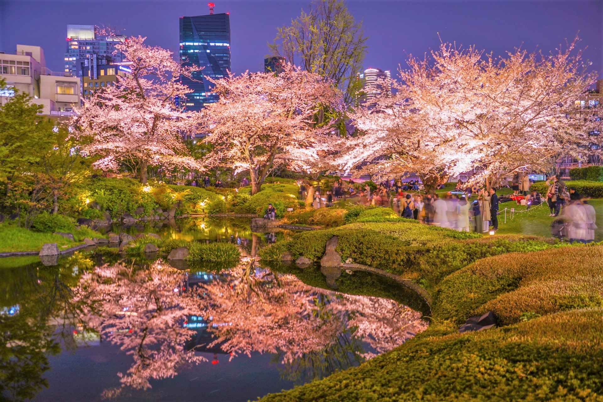 東京お花見22年最新情報 桜名所の桜祭り中止や制限一覧 3月30日更新 たびハピ