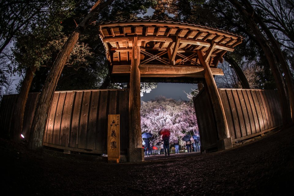 東京お花見22年最新情報 桜名所の桜祭り中止や制限一覧 3月30日更新 たびハピ