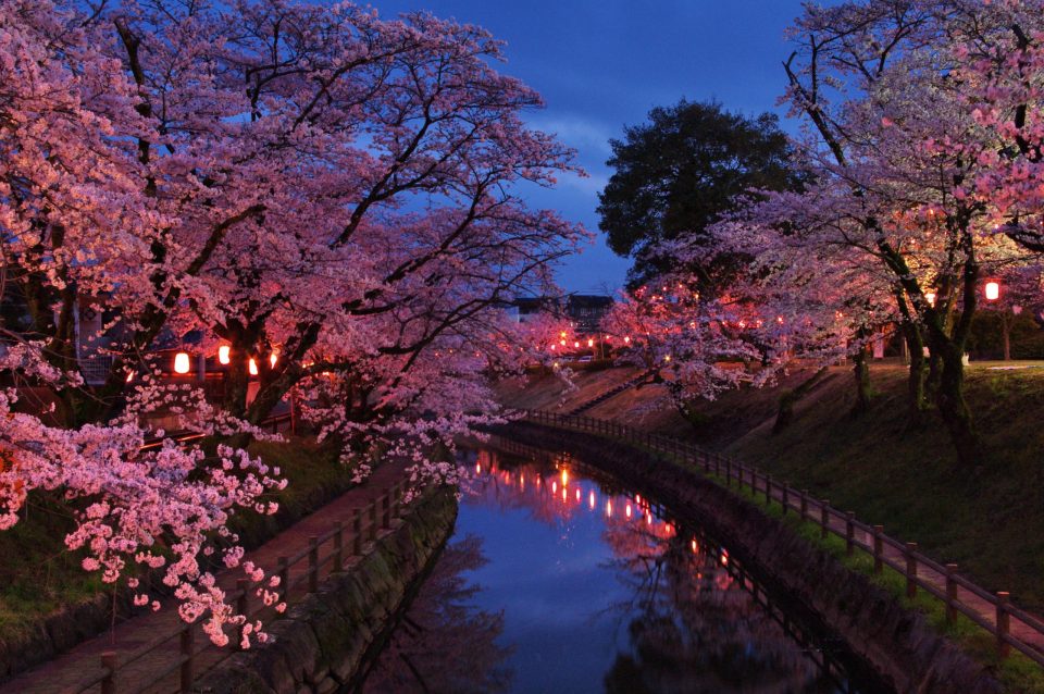 栃木県桜名所のお花見22年イベント開催 中止最新情報 たびハピ