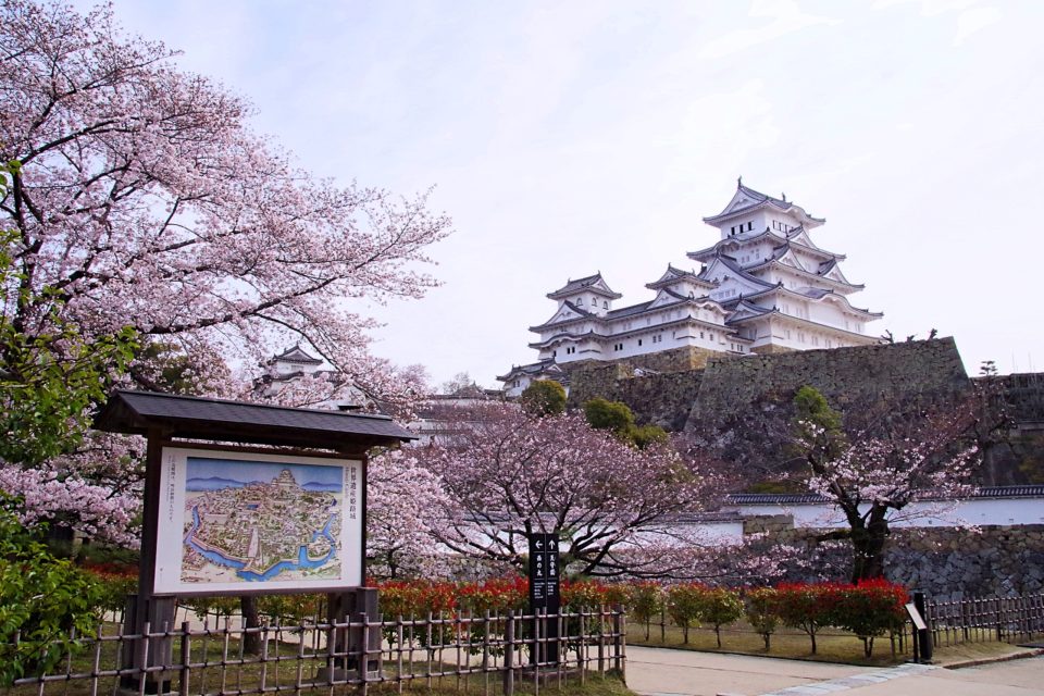 姫路城と桜、城内