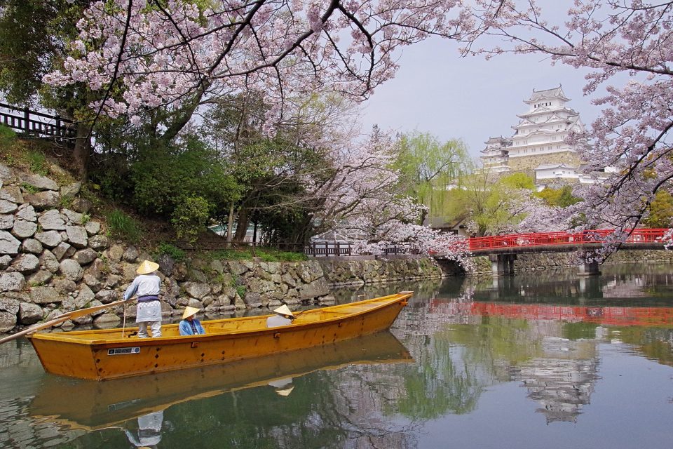 姫路城と桜、姫路市立動物園