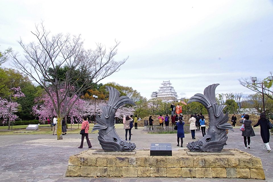 姫路城と桜、城見台公園