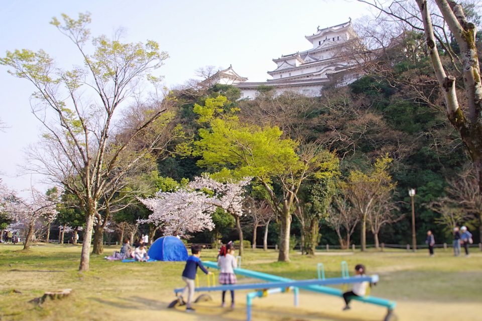 姫路城と桜、城山公園