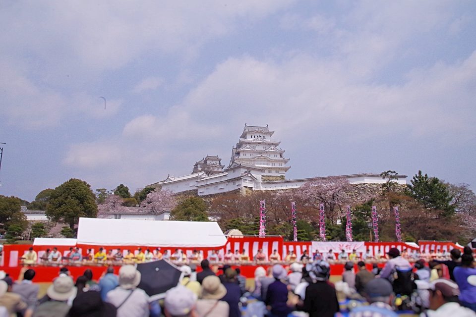 姫路城と桜、2019年の観桜会