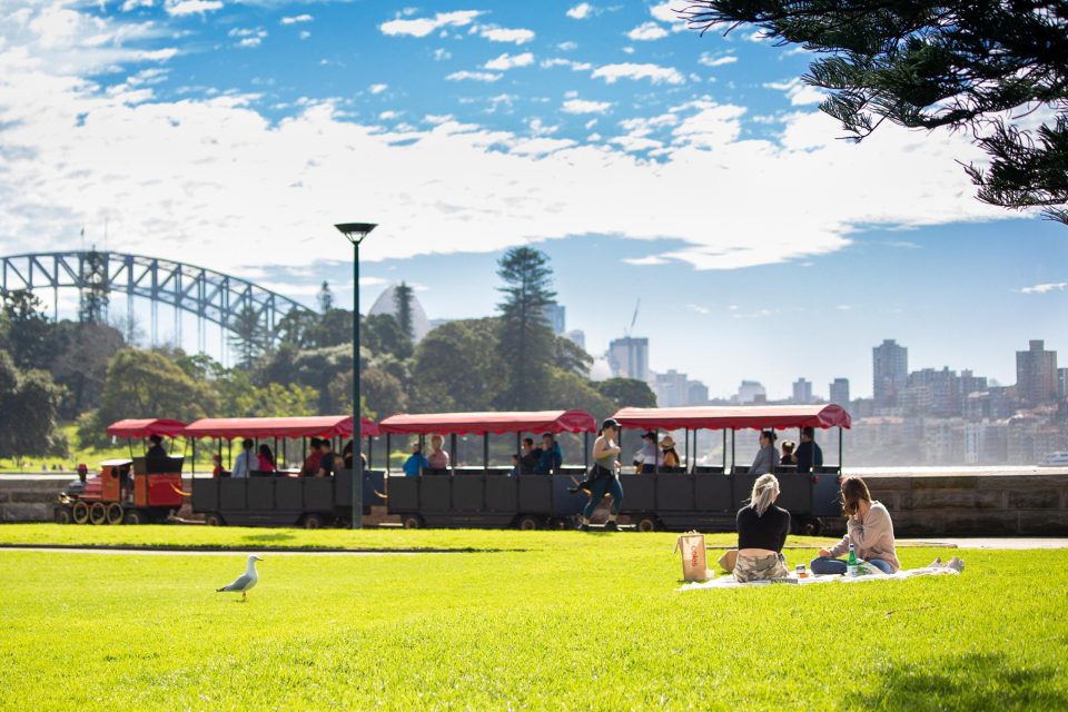 絶景やグルメも楽しめる都会のオアシス！シドニー王立植物園「ロイヤルボタニックガーデン」の楽しみ方