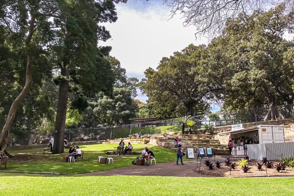 絶景やグルメも楽しめる都会のオアシス！シドニー王立植物園「ロイヤルボタニックガーデン」の楽しみ方