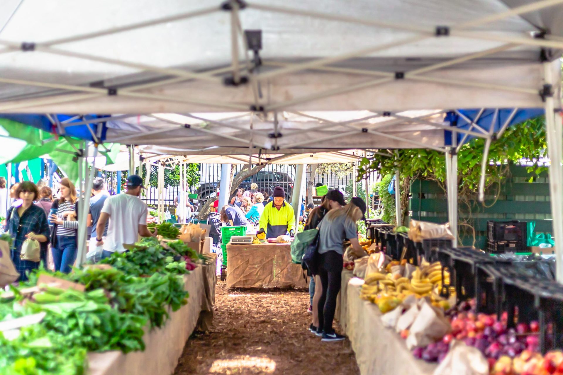 シドニーで一番人気があるビーチ「ボンダイビーチ」の魅力10選 たびハピ