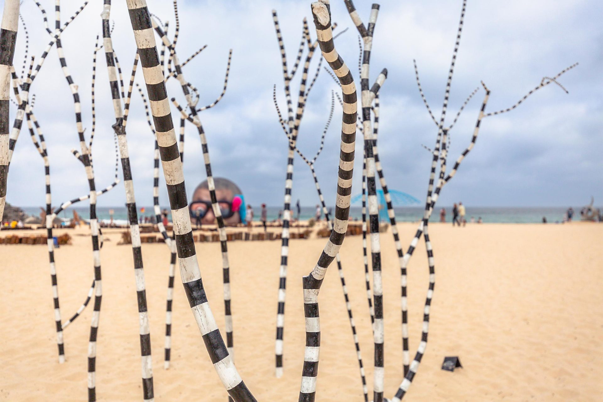 シドニー・ボンダイビーチのアートイベント「スカルプチャー・バイ・ザ・シー」 たびハピ