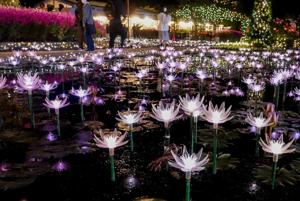 イルミネーション日本一！あしかがフラワーパーク光の花の庭2022