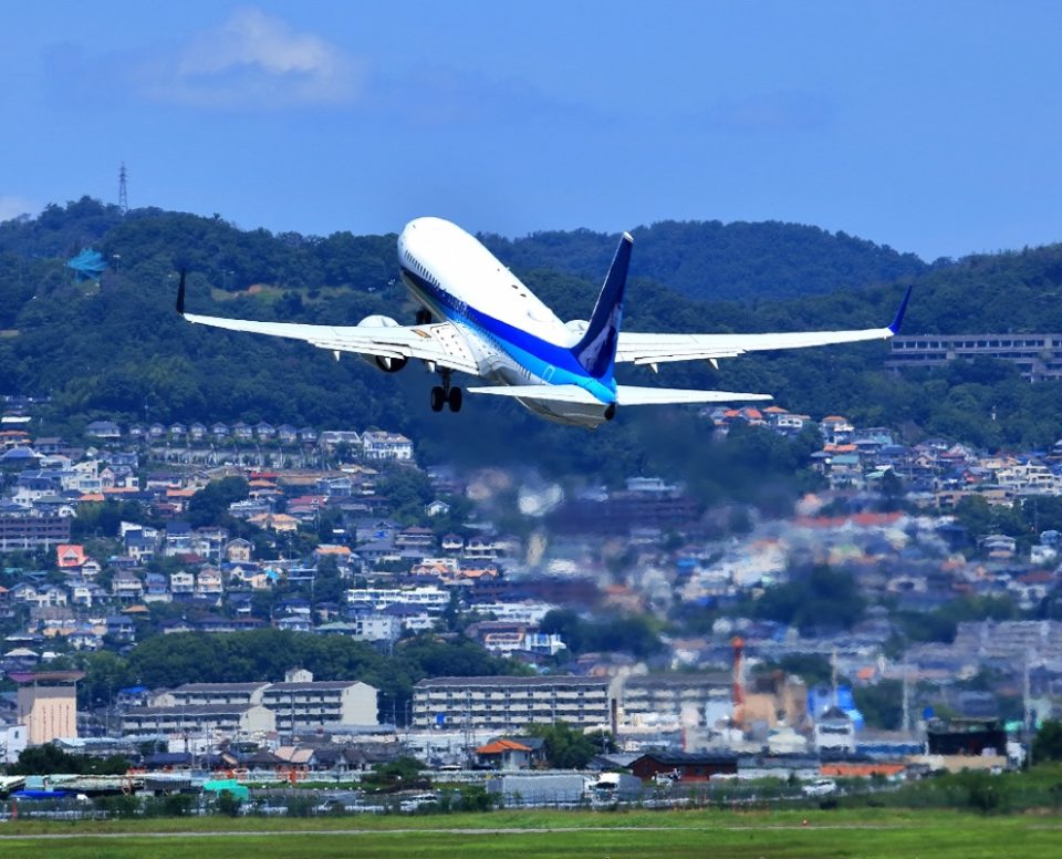 ANA国内線がどこでも7000円！11月29日0時からスーパーセール実施！