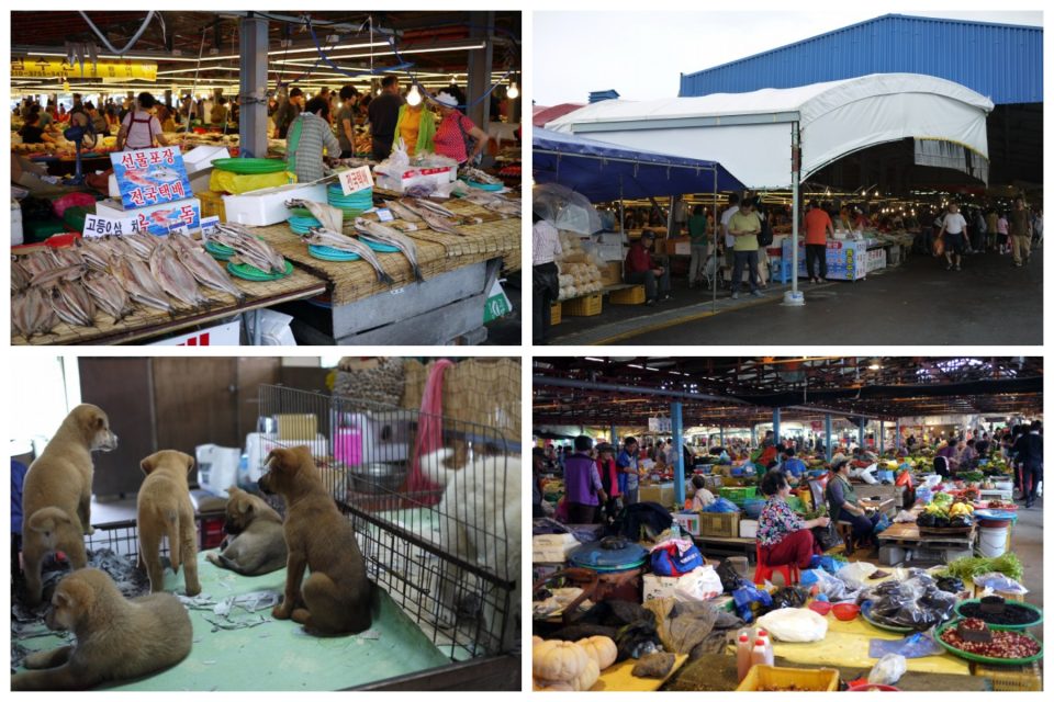 済州民族五日市場
