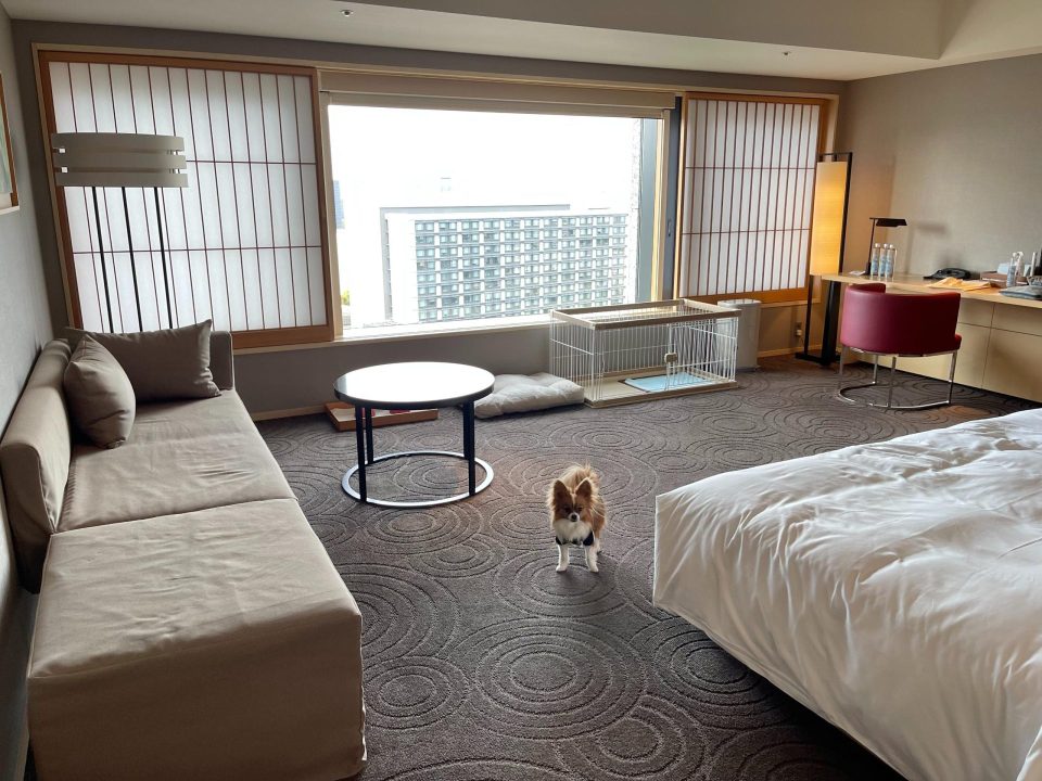犬と泊まれる高級ホテル・東京都5選！ペット旅ライターが厳選