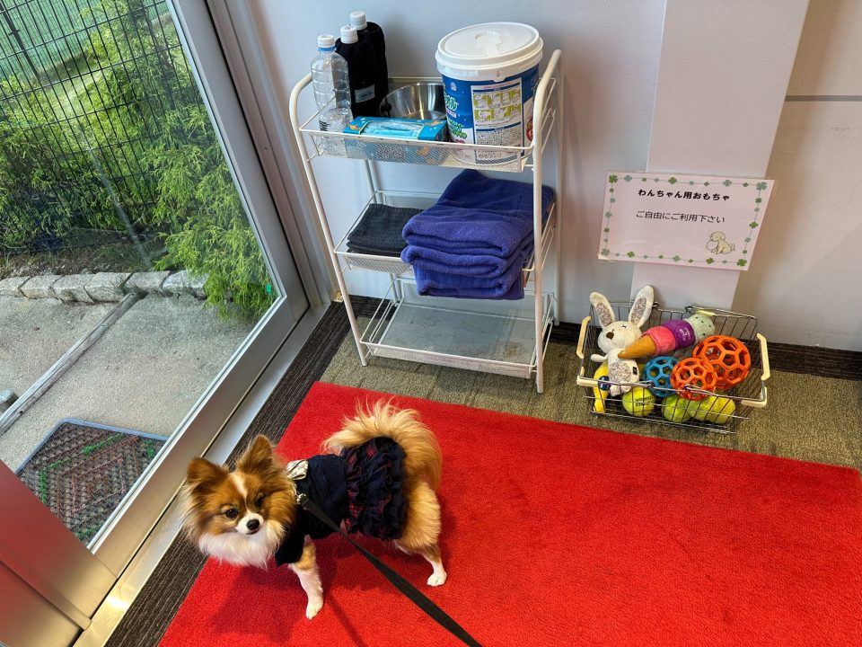 ホテル神戸六甲迎賓館宿泊記・神戸の夜景を望むホテルは犬同伴宿泊可能