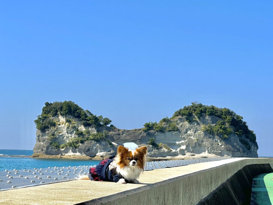 和歌山県南紀白浜観光モデルコース・犬と観光するならどうまわる？