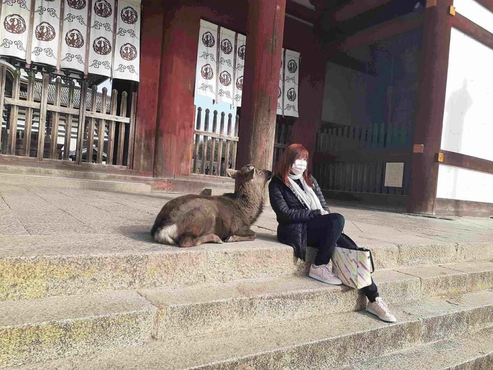 奈良観光モデルコース2泊3日・世界遺産を全部まわる女子ひとり旅編