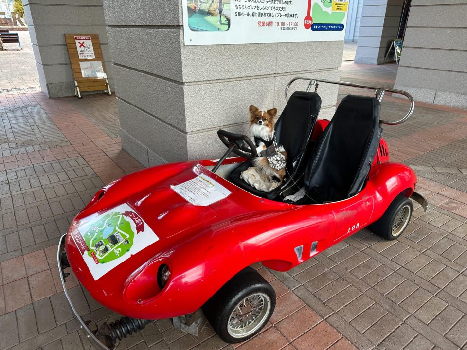 神戸観光おすすめモデルコース・人気スポットから郊外まで犬と一緒に観光してきた！
