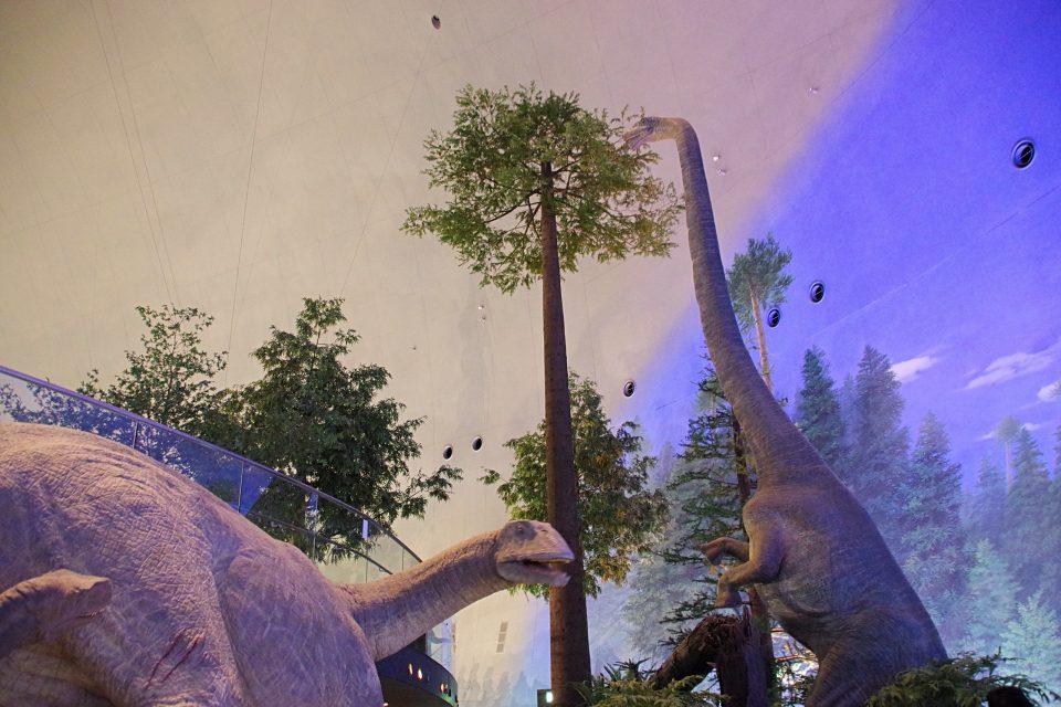 本館1階「恐竜の世界ゾーン」　恐竜