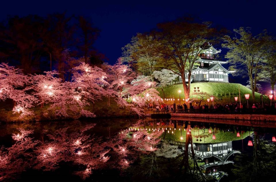 北陸人気桜名所でお花見！2024年見ごろはいつ？桜まつりと夜桜ライトアップ情報一覧