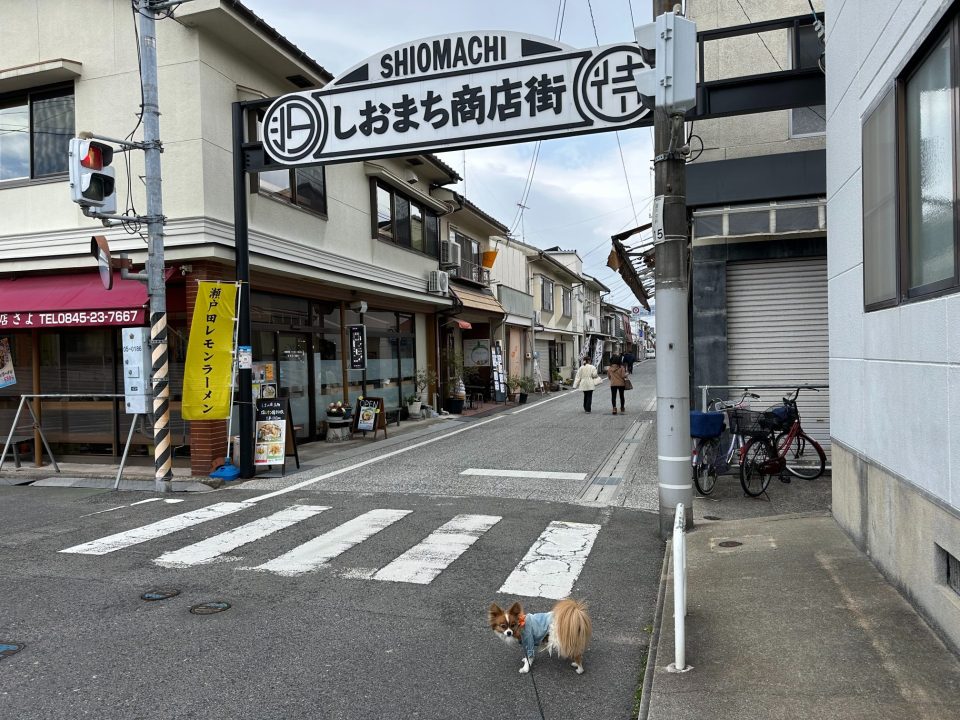 しまなみ街道「生口島」観光モデルコース・愛犬と一緒ならここがおすすめ！